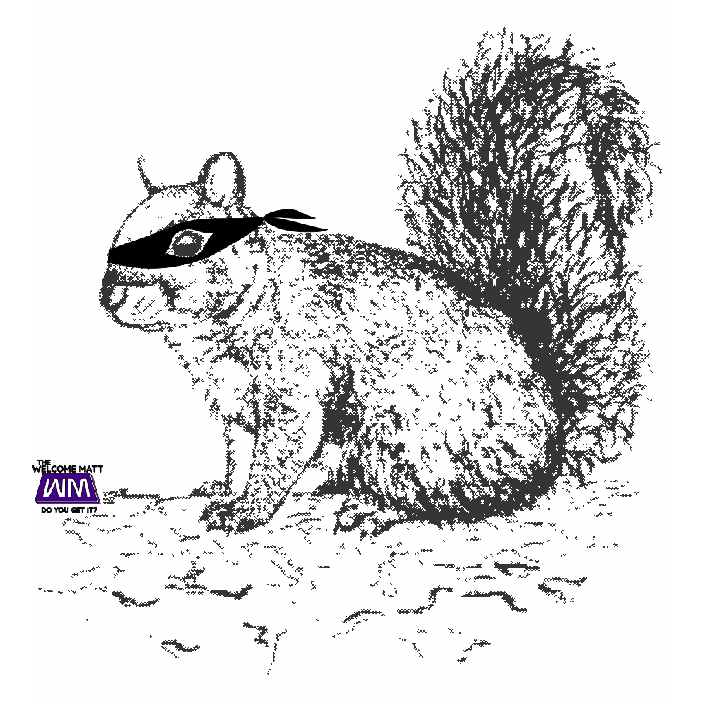 Ninja_Squirrel-thewelcomematt.com_-1.png